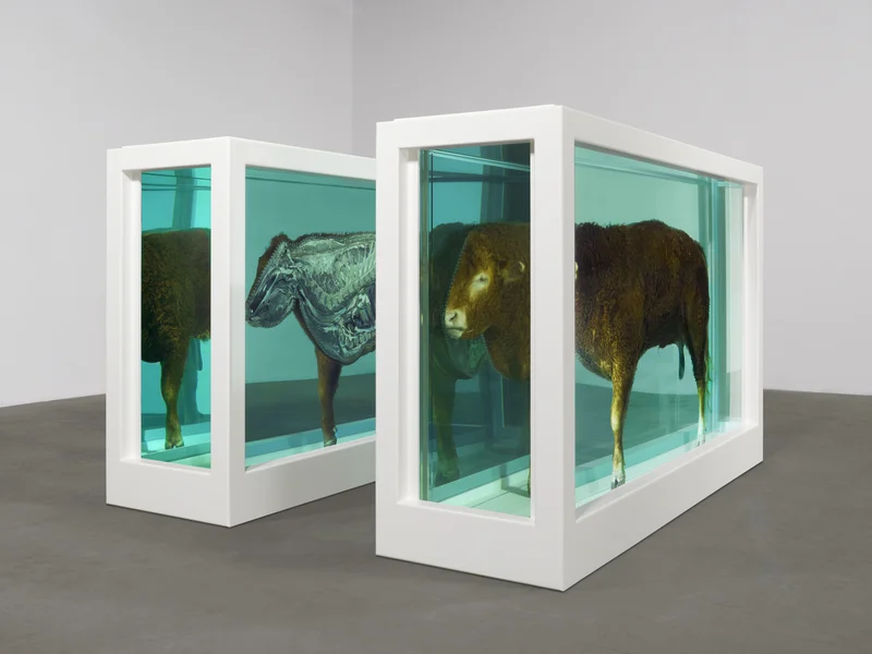 Damien Hirst, Padre (Dividido), 2011