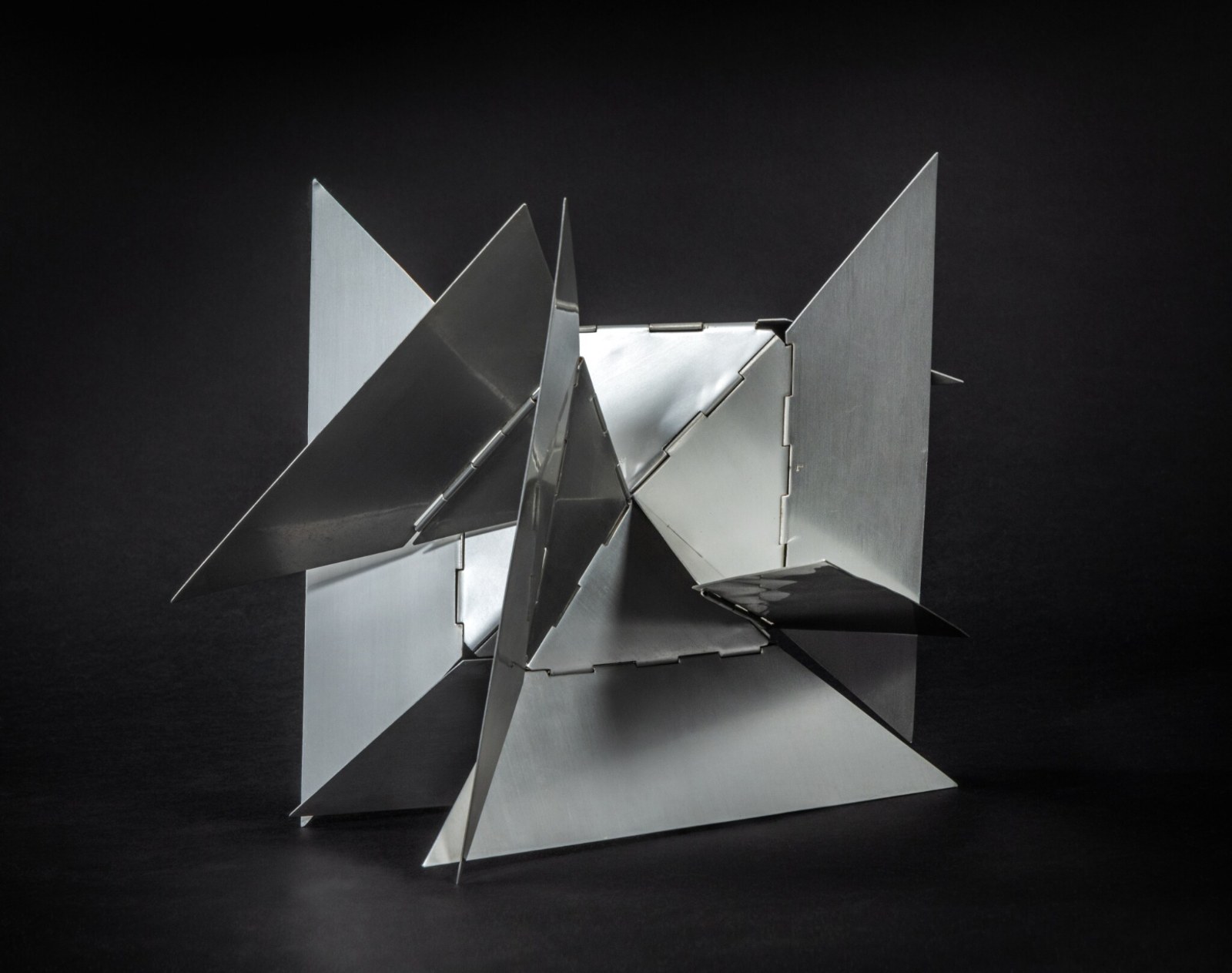 Lygia Clark, Bicho desfolhado, 1960